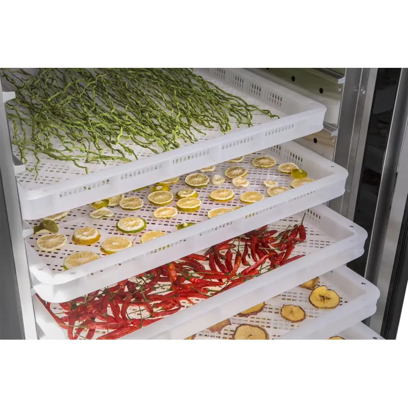 35～55度乾燥機 工業用・業務用 果物・野菜・食品乾燥機  - Commercial Food Dehydrator のレビューと価格